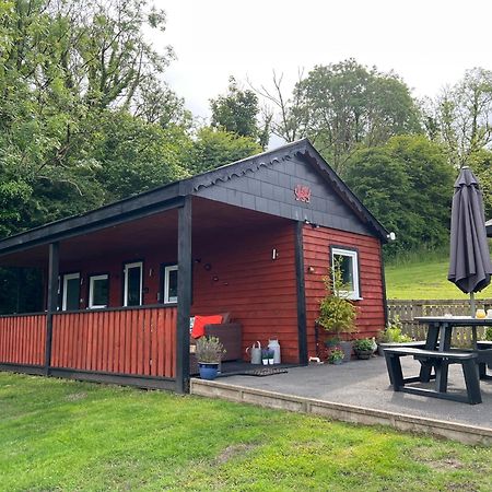 Kabin In The Woods Llandybie Ngoại thất bức ảnh