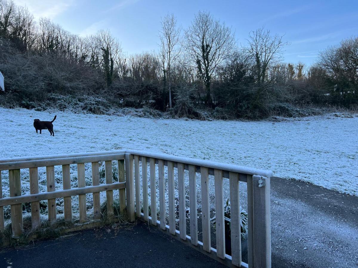 Kabin In The Woods Llandybie Ngoại thất bức ảnh