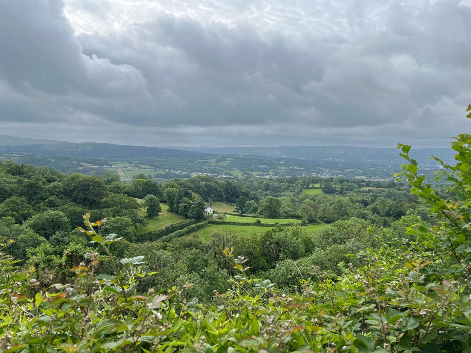 Kabin In The Woods Llandybie Ngoại thất bức ảnh